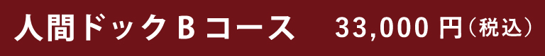 人間ドックBコース