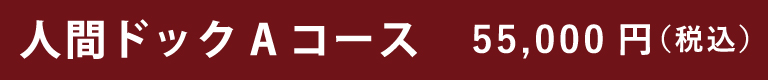 人間ドックAコース