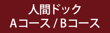 人間ドックAコース・Bコース